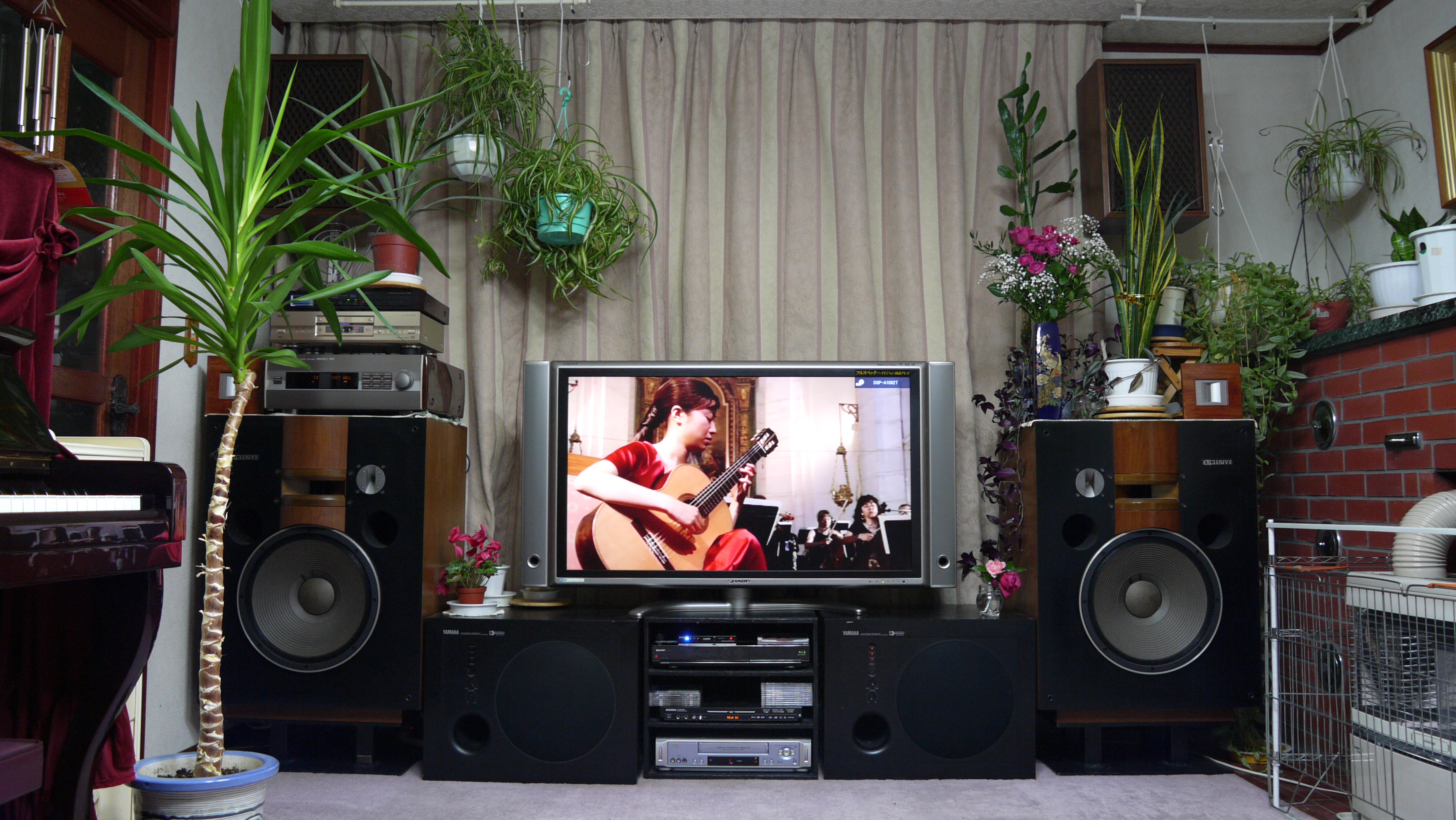 ��������