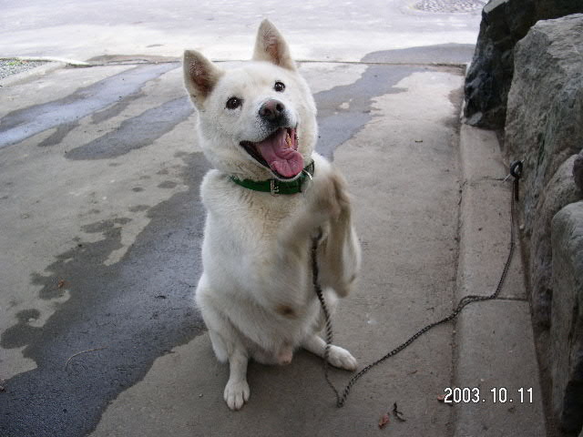 �����ǡ�������