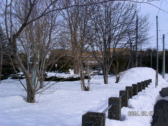 �ä�����ع�