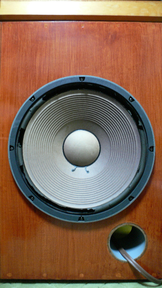 ���£��������