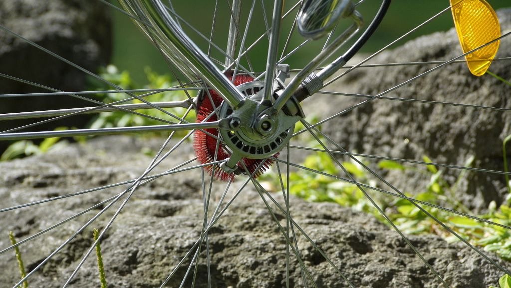 ����������